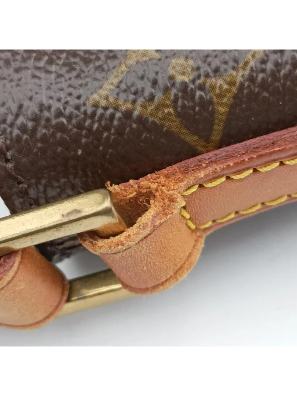 Louis Vuitton Panda Trotter Monogram Brown Multicolor Canvas Leather Shoulder